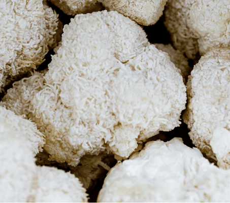 5 Ways Adaptogens Can Transform Your Day